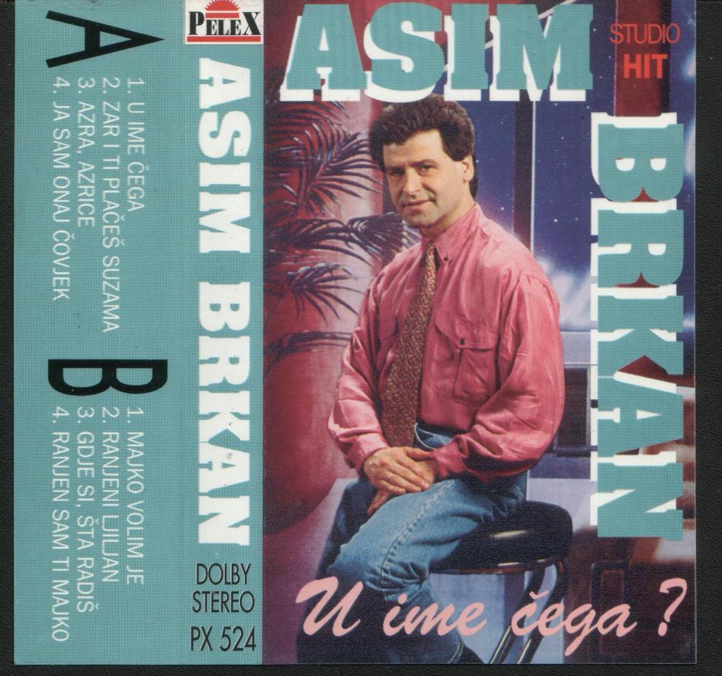 Asim Brkan 1995 - U ime cega